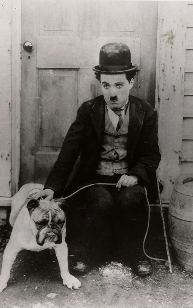 Il va y avoir du sport ! Ciné concert