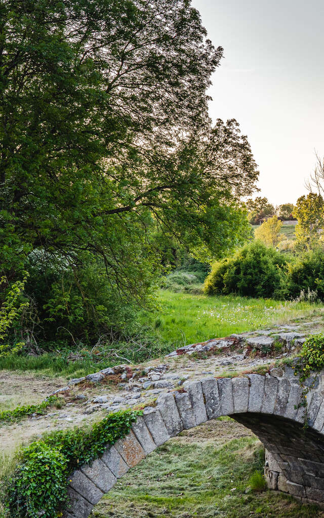 Les perles du Forez, entre prieurés et châteaux - 2 jours/1 nuit