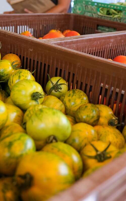 Marché des producteurs de Montfavet