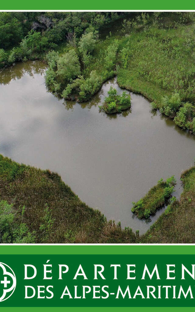Balade Découverte " Nos amies, les zones humides "