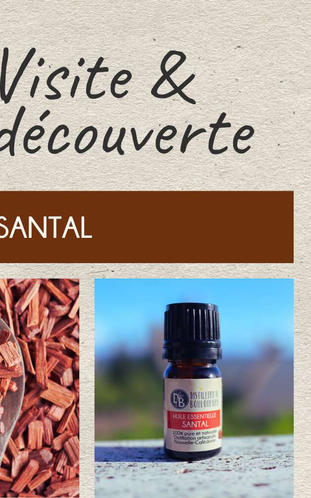 Visite et découverte - Distillerie de Boulouparis