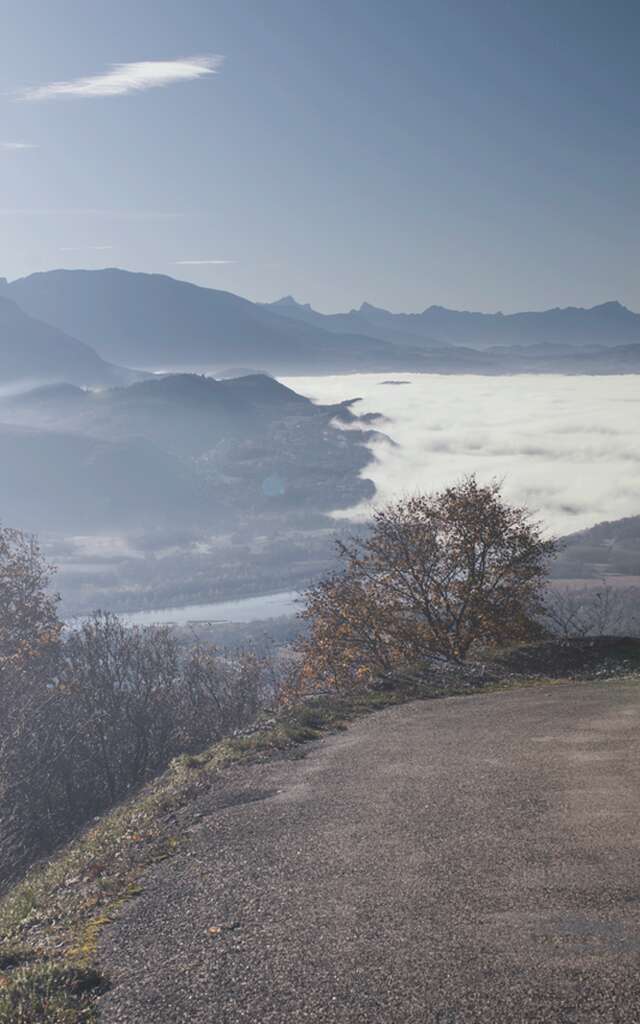 Paradis du Vélo - Cycling experience in Bugey / Grand Colombier