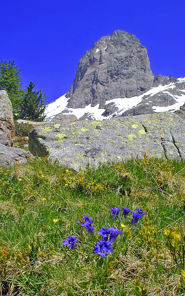 Le  Mercantour : 70 ans de protection de la nature racontés par le plus ancien garde-moniteur en service