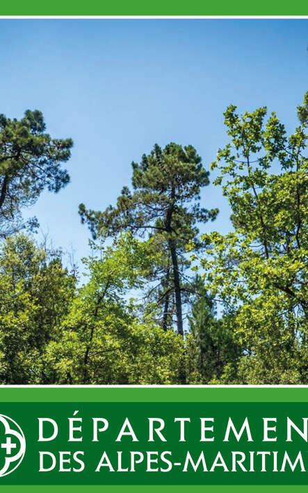 Balade découverte " Les arbres du parc "