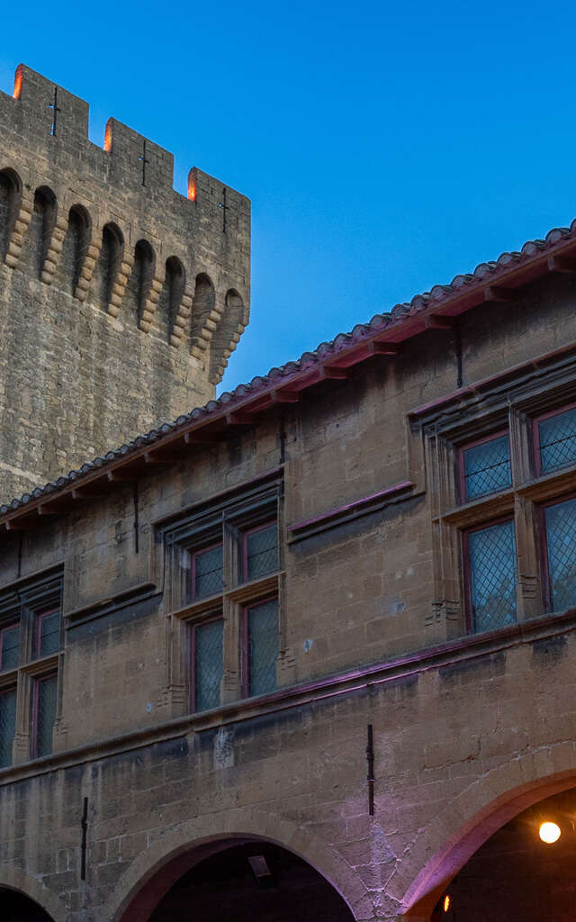 Un Château dans les Vignes