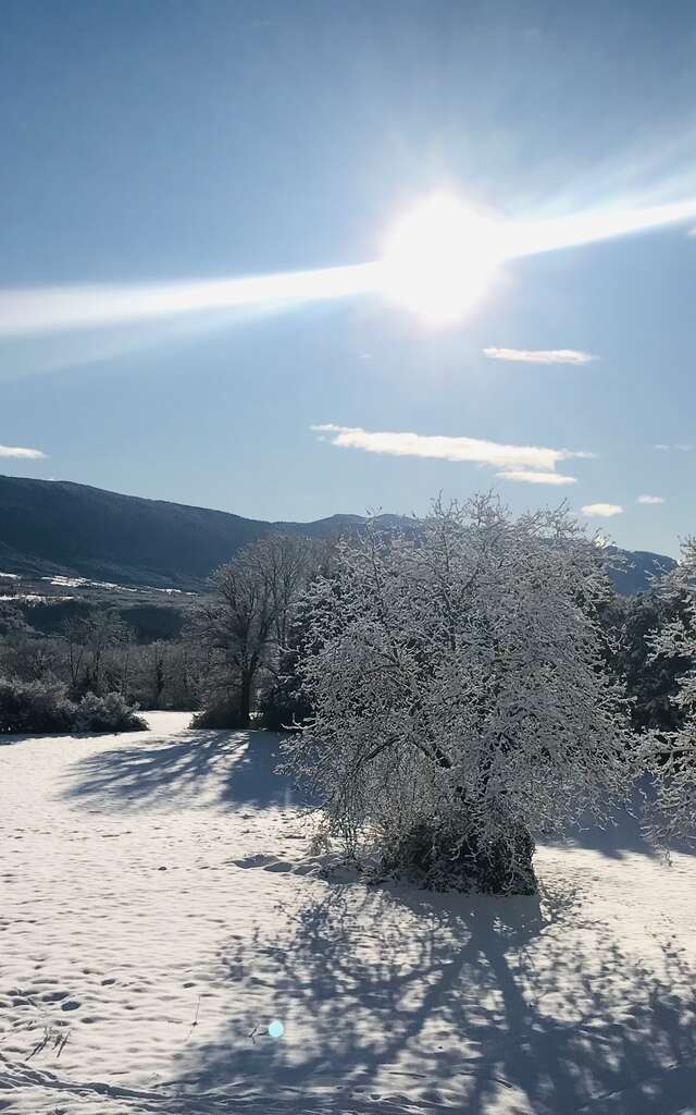 Gîte de l'Ain t'y piques