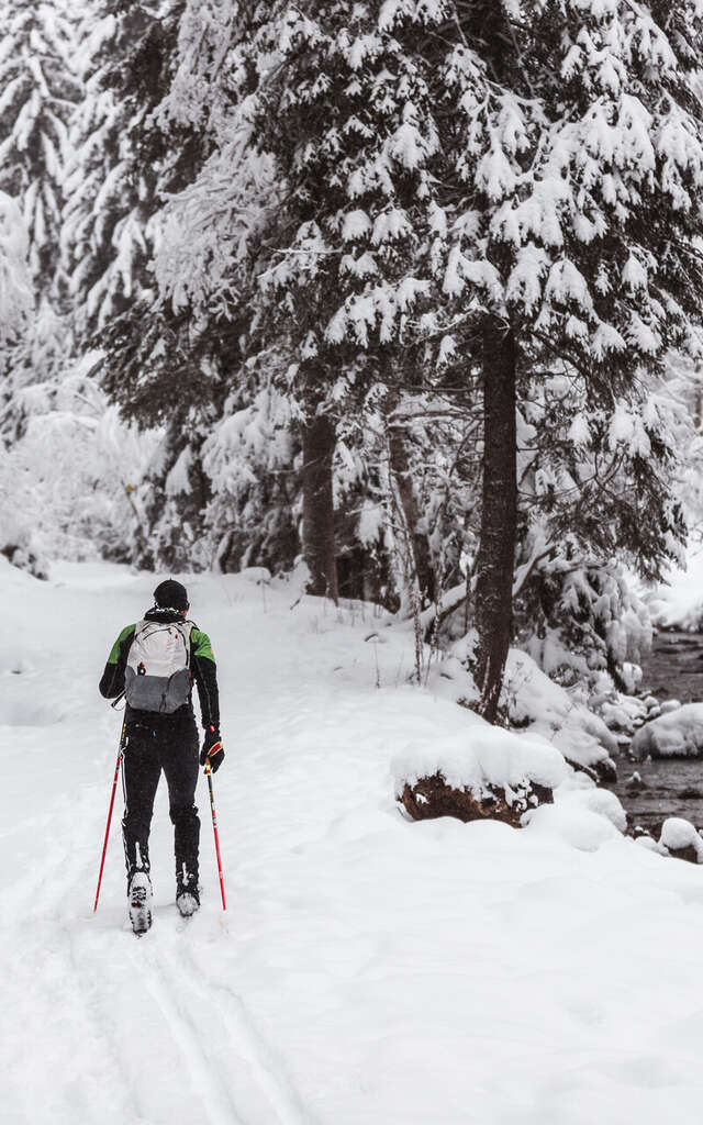 'La Jaune' Blue Trail (instruction track) / Rando Parc Morgins