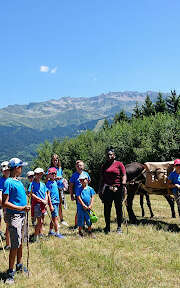 At the pace of Catalan donkeys