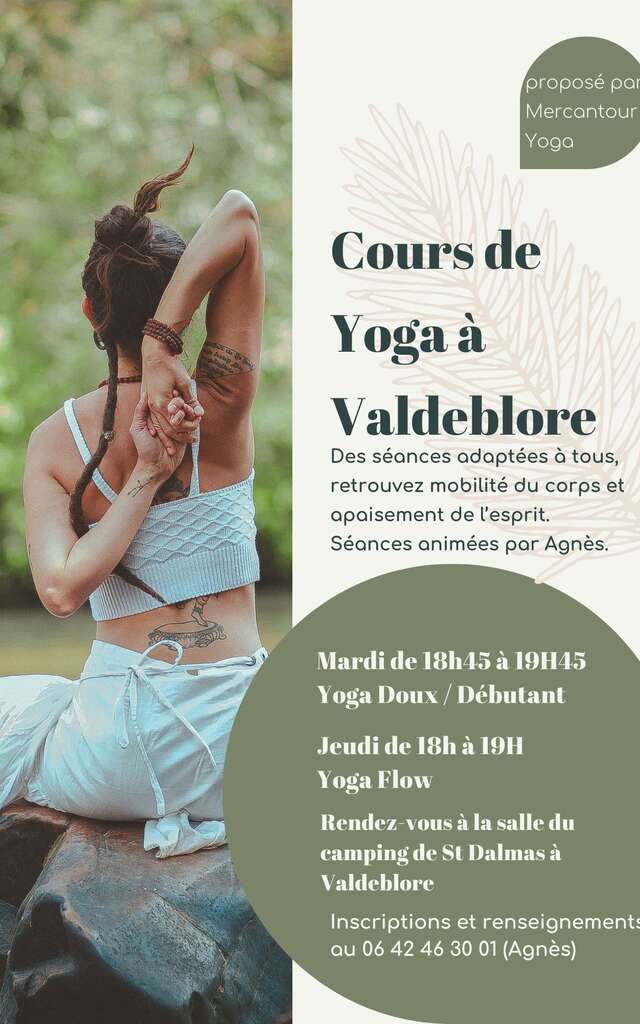 Cours de Yoga - Camping St Dalmas Valdeblore