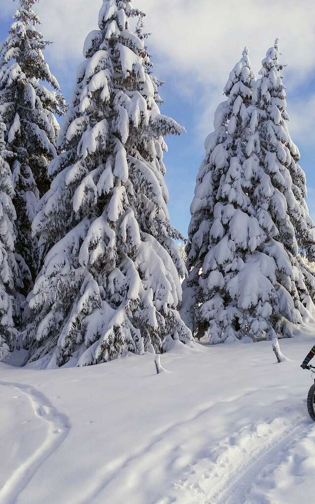 La grande traversée du Revard à la Féclaz en fatbike électrique