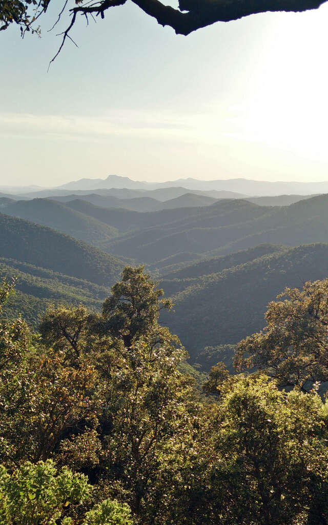 Massif des Maures