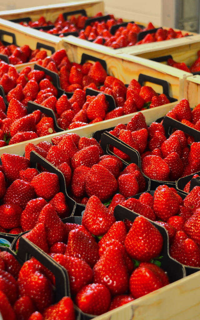 Fruits Rouges des Monts du Velay