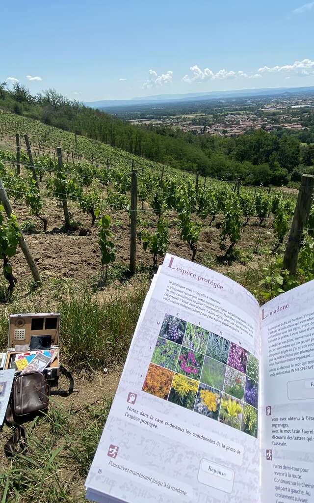 Enquête game à Champdieu : Meurtre dans le vignoble