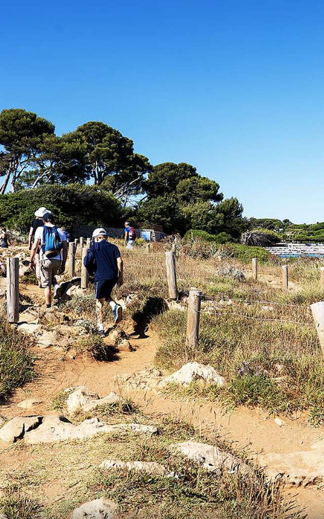 Sorties naturalistes et géologiques