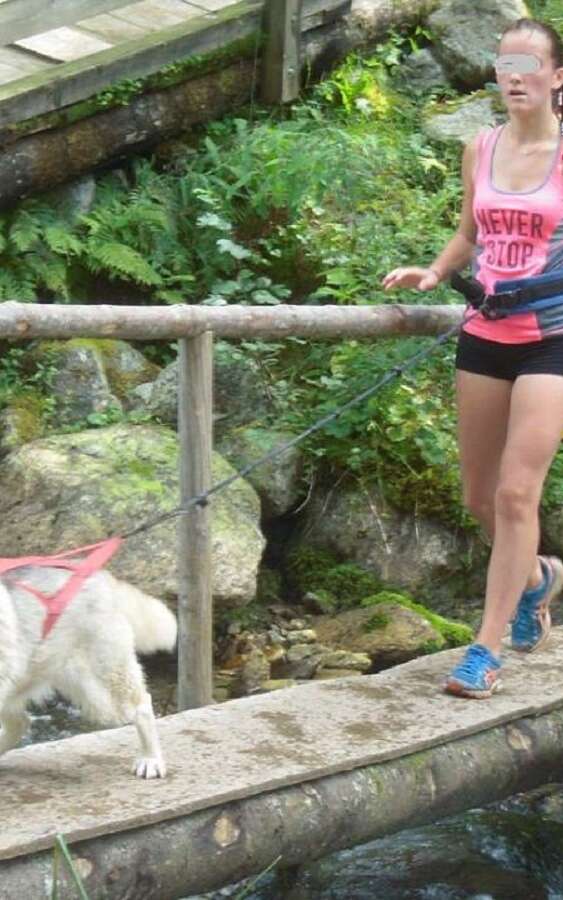 Cani rando au Pleynet