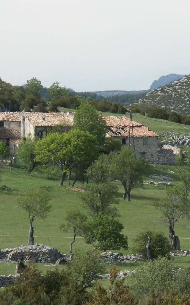 The Panda Saint-Maymes gîte