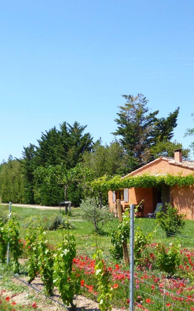Le Cabanon - Domaine des Finets