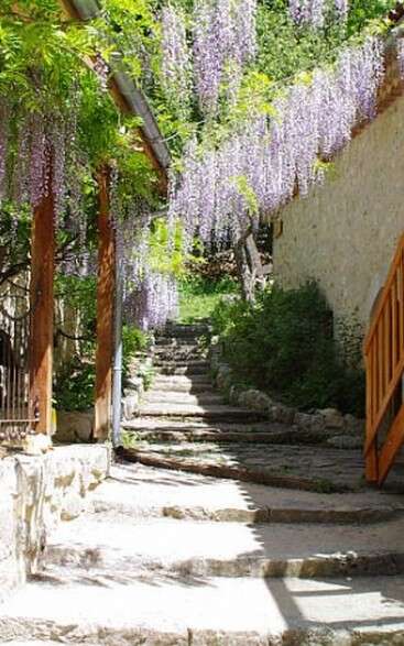 Les Damias