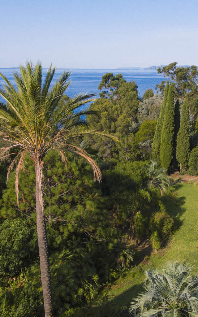 Domaine du Rayol, Le Jardin des Méditerranées