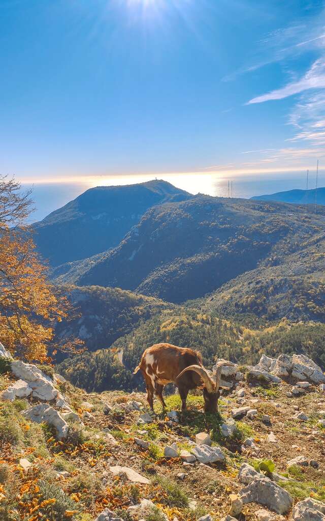 Natura 2000 :  Vallée du Careï - Collines de Castillon