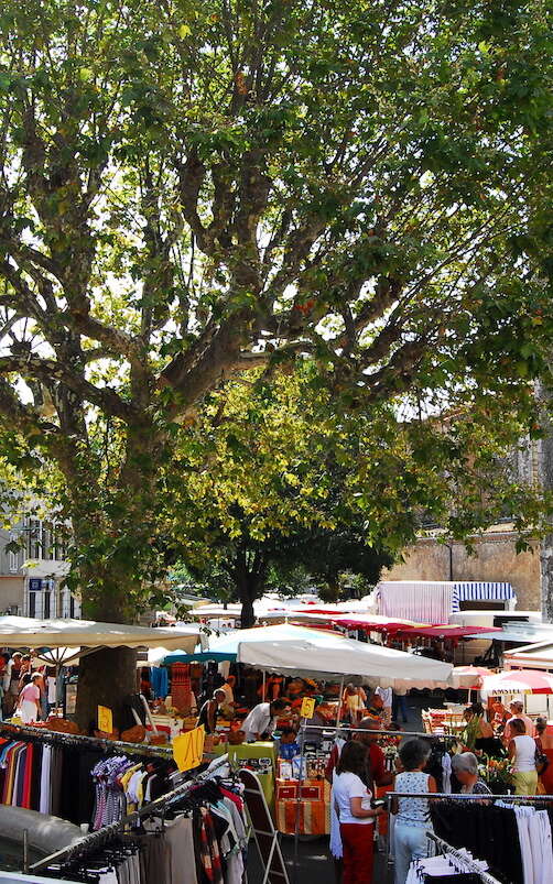 Marchés à Saint-Cézaire-sur-Siagne