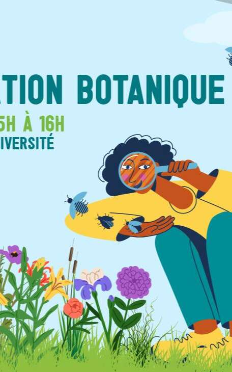Atelier d'observation botanique spécial Gonatostylis vieillardi