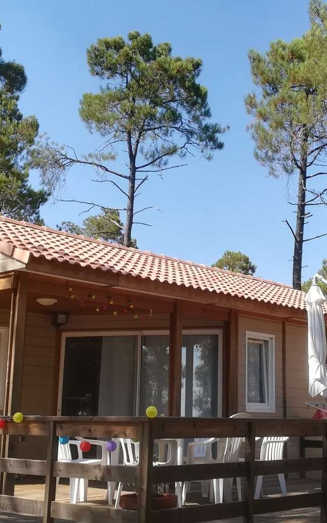 Camping Municipal la Pinède