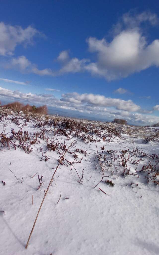Initiation à l'orientation