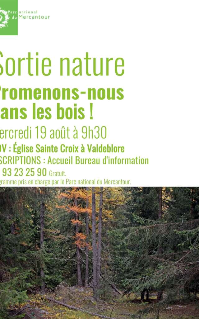 Promenons-nous dans les bois !