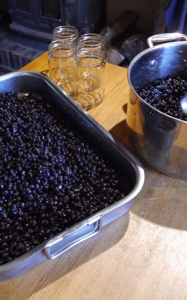 Confectionnez des confitures artisanales de fruits rouges avec Claire