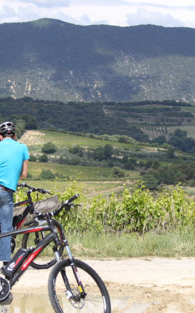 Intersport - Locations de vélos