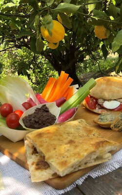 Führung und Mittagessen auf der Zitronenfarm Menton