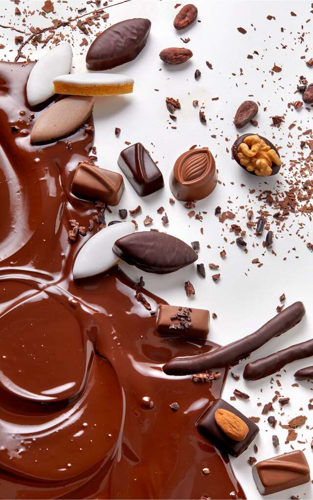 Chocolaterie de Puyricard