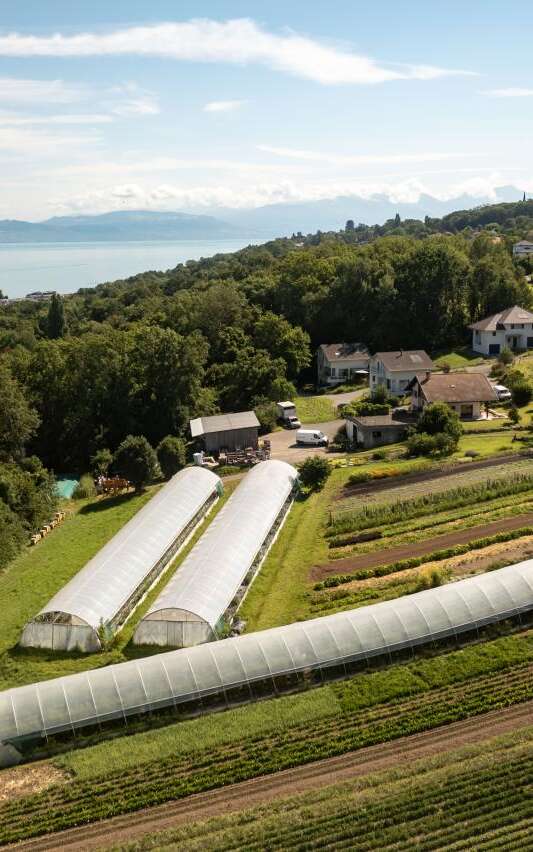 Maraîcher bio - EARL le Vert de Terre