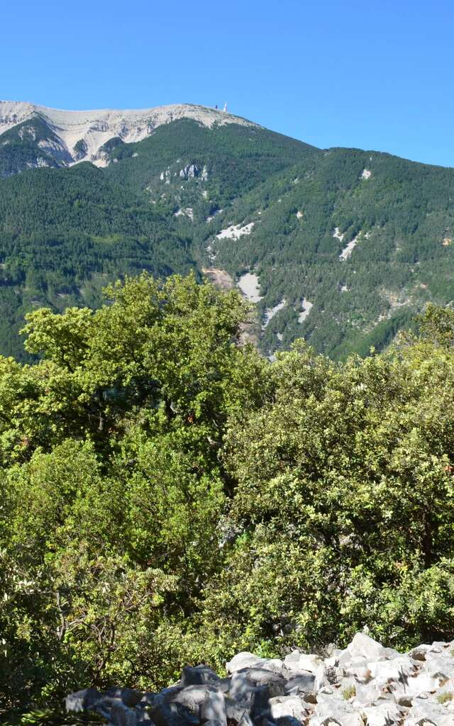 ST-LEGER-DU-VENTOUX - Patrimoine géologique et historique