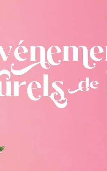 Soirées estivales Réveillon à la morgue