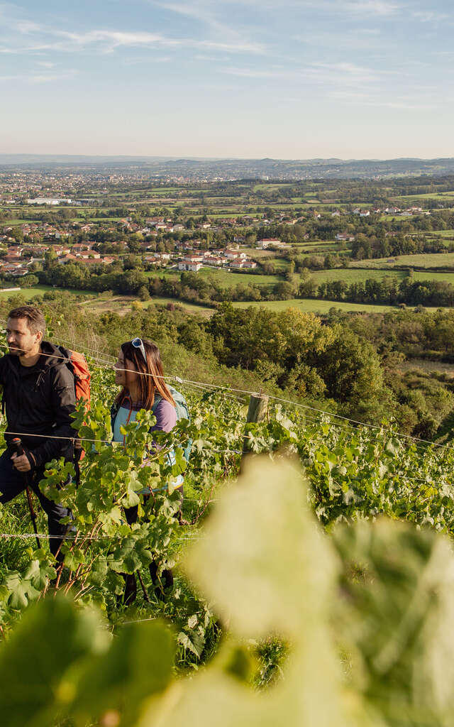 GR® de Pays Côtes du Forez Nord