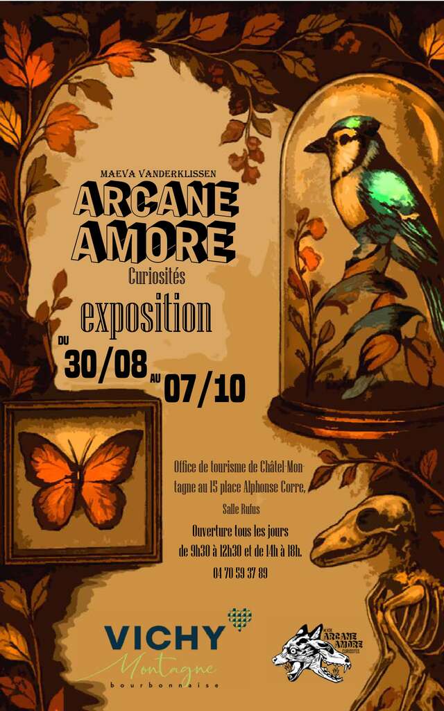 Exposition - Curiosités - Arcane Amore