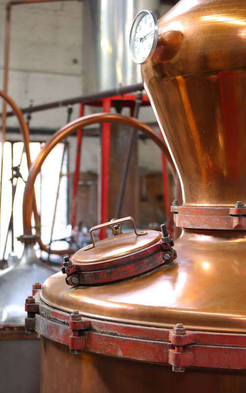 Maison Manguin - Distillerie  Artisanale