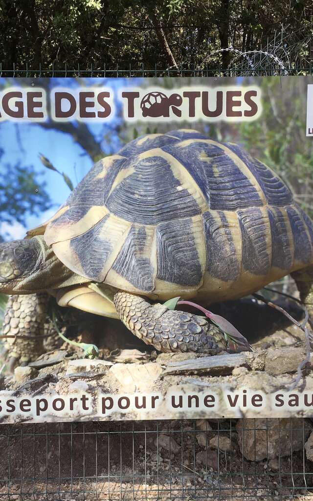 Le Village des Tortues