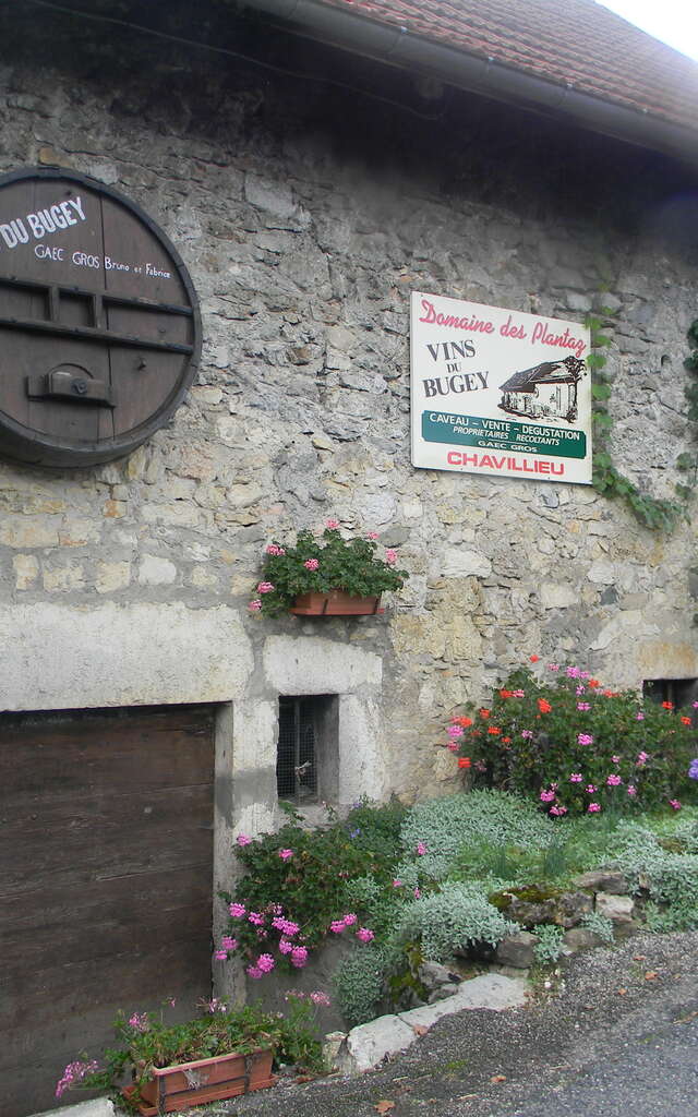 Domaine des Plantaz