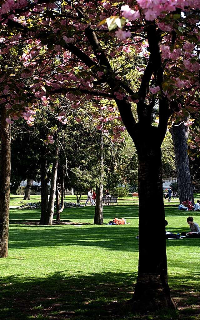 Parc du Verney