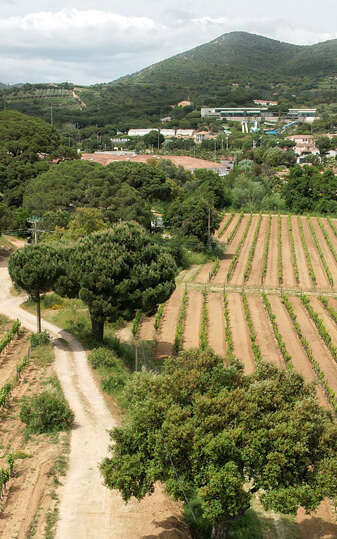 Le Clos de Ste Maxime
