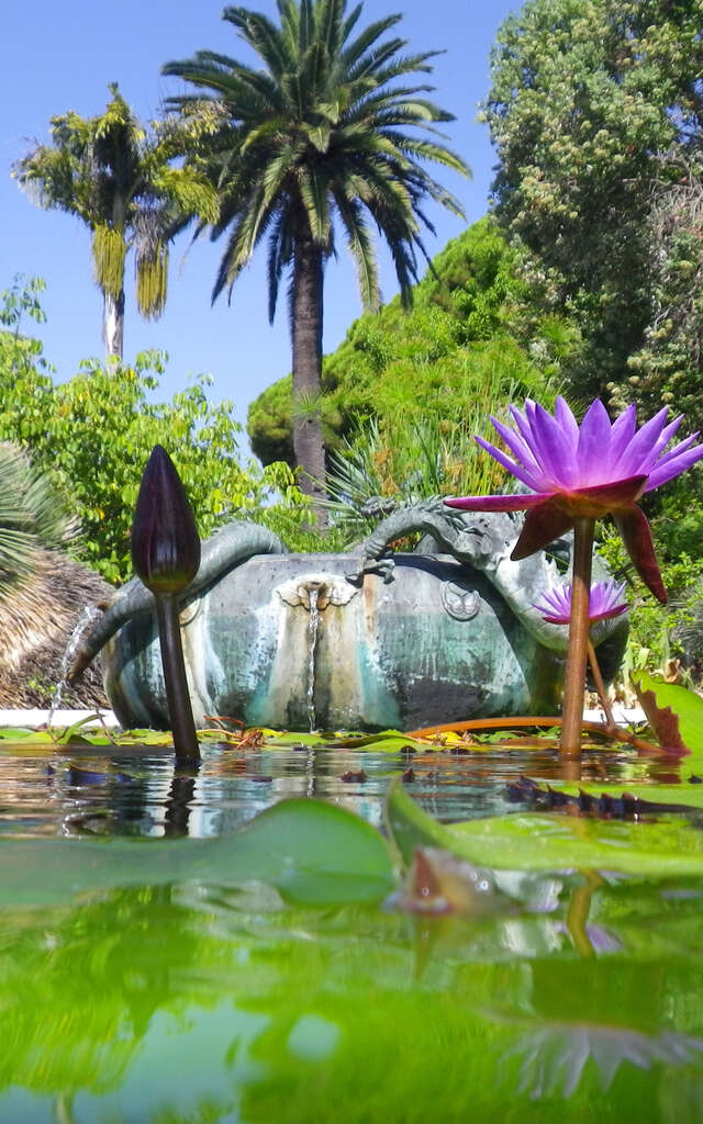 Serre de la Madone garden