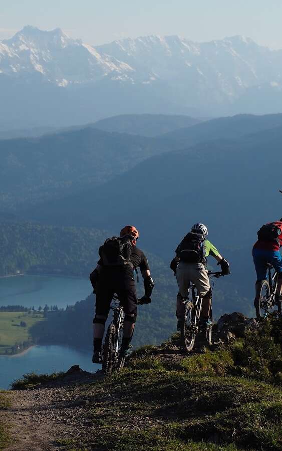 Alpes In Bike