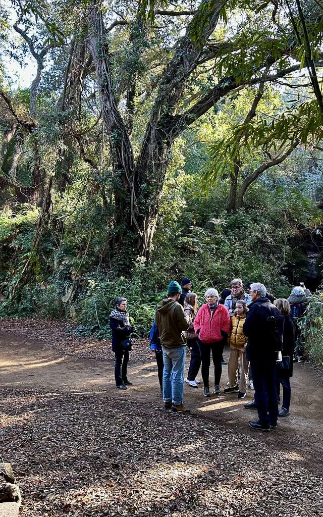 Visite thématique "Balade botanique au fil des saisons"