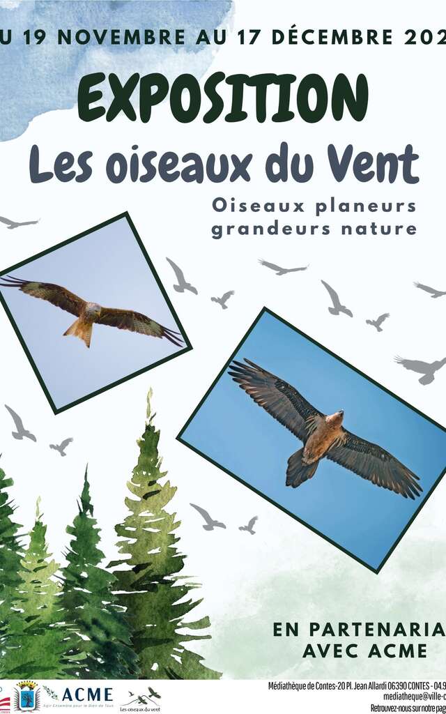 Les oiseaux du vent