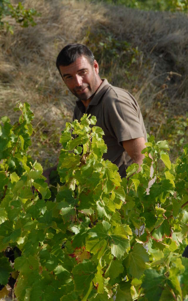 Domaine Combe Julière