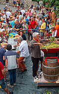 Fête des Vendanges du Safranier