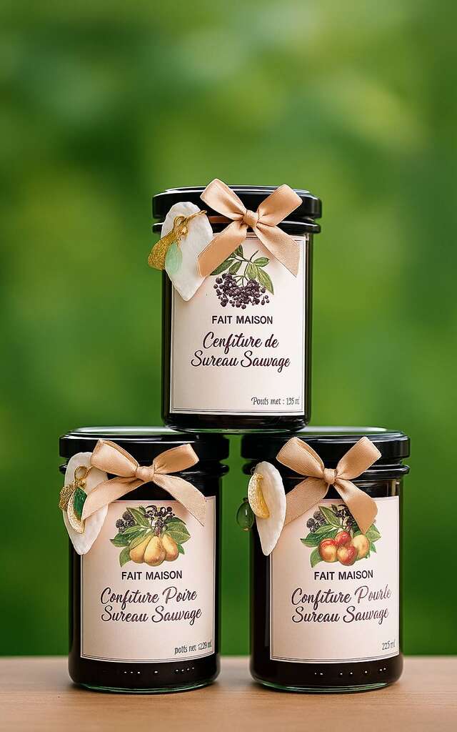 La forêt aux sureaux